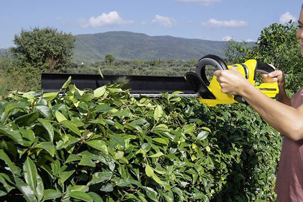 tea harvester