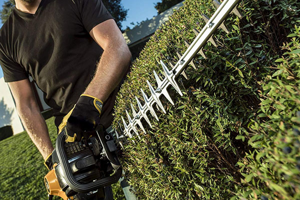 hedge trimmer