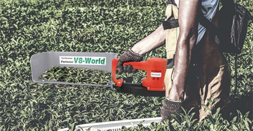24V Brushless Tea Picking Machine: The Ideal Choice for Efficient Harvesting, with Dehua Lithium Bat